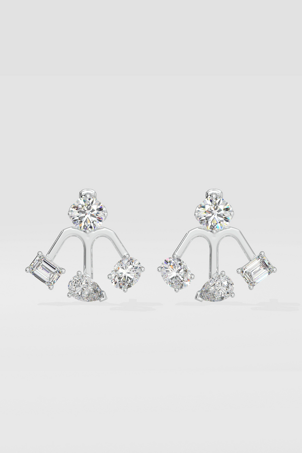 Front & Back Earrings