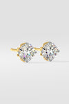 2.5 ct Solitaire Studs
